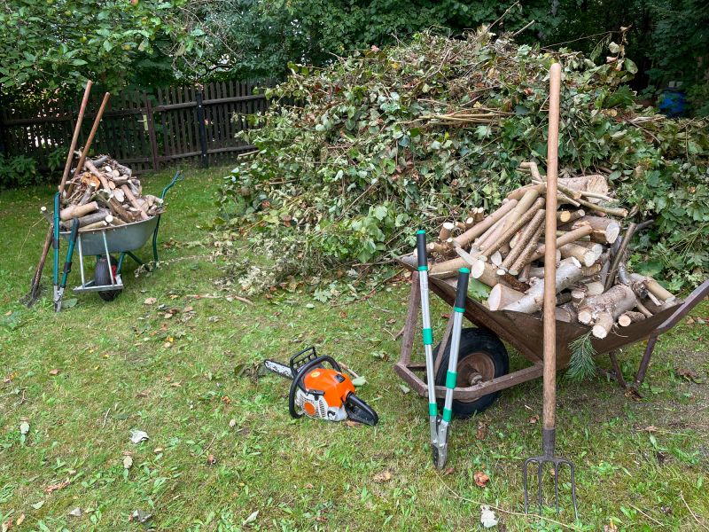 Lawn Debris Clearing