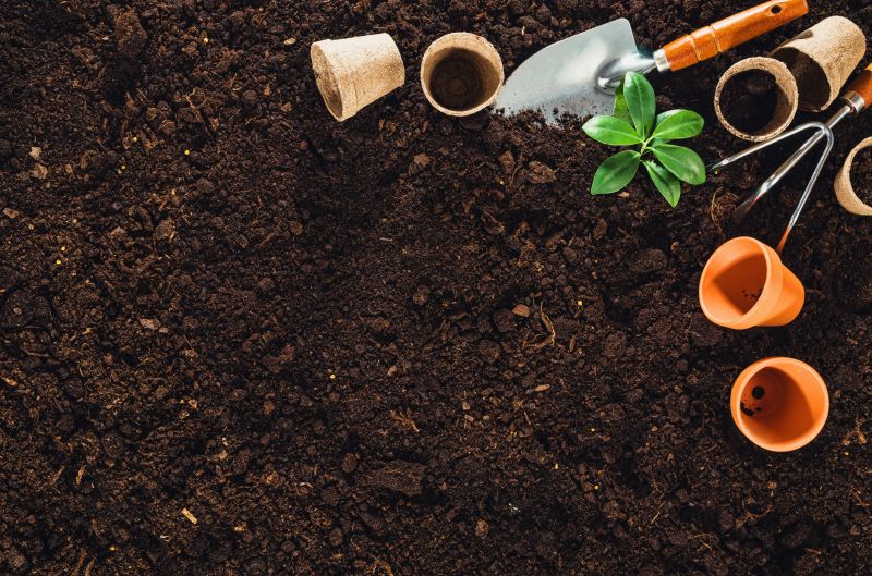 Spring Garden Cleanup Image 1